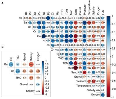 High Species Richness and Extremely Low Abundance of Cumacean Communities Along the Shelf and Slope of the Gulf of Guinea (West Africa)